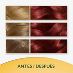 Tintura Soft Color Semi-Permanente Tono Cobrizo Intenso 5554