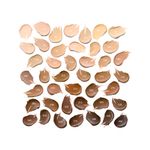 Base-En-Barra-Essence-Tono-120-10Gr