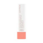 Labial-Catrice-Holiday-Lips-Tono-10-3.5gr