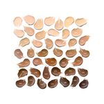 Base-En-Barra-Essence-Tono-120-10Gr