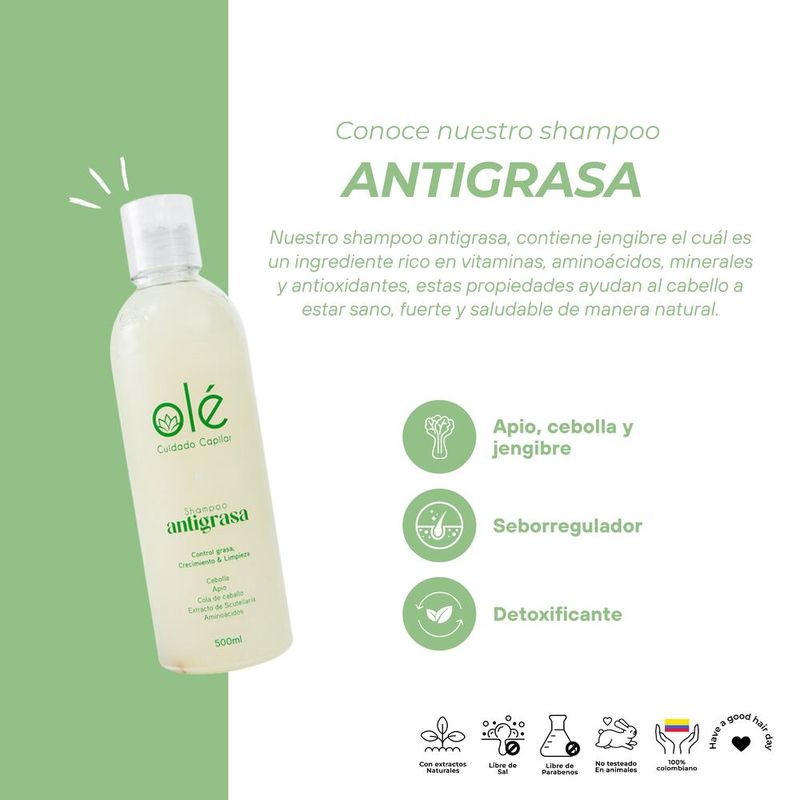 Shampoo-Ole-Antigrasa-Cebolla-Jengibre-Y-Apio-500-Ml