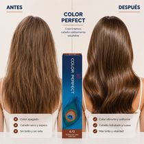 Tintura Wella Professionals Color Perfect Tono 6/0 Rubio Oscuro 60 Ml